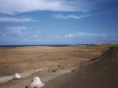 Der Weg von Puerto de la Cruz zur Punta Pesebre