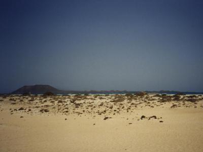 Blick auf die Insel Lobos